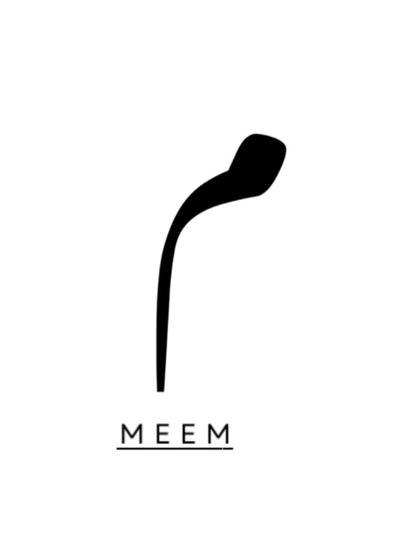 MEEM Pakistan